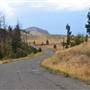Beaton Road
