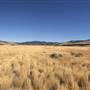Merritt Saunders Field Airport Grasslands area