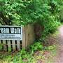 Nanaimo Fish Hatchery Stream Walk