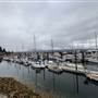 Malcolm Island Lions Harbour