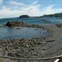Neck Point