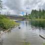 Freda Creek - Flood