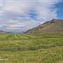 Ashcroft Ranch Crop Fields - East side - ALL