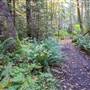 Palm Beach Trail