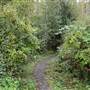 Roger Creek - from Alberni Highway/Maebelle Street