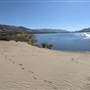 WHITE SAND BEACH / OSOYOOS DUNES