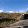 Maple Lake Tunnel