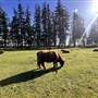 Seaview Game Farm and waterfront acreage