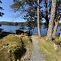 Shawnigan Lake Cabins