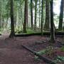 Latimer Park