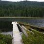 Malcolm Knapp Research Forest Marion Lake - UBC