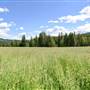 Graffunder Fields by North Thompson River