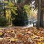 Bowker Creek Walkway and Bridge