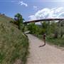 Peterson Creek Nature Park - Paths to Under the Highway 1 Bridge