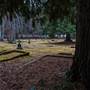 MT IDA CEMETERY