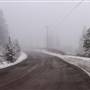Rose Hill Road & Forested Gully WINTER