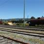 Alberni Pacific Railway