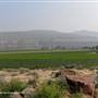 Desert Hills Ranch Farm Crop Fields