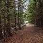 Trail - DSB Ranch near lake #105 - Trail Walk from South End to Western Property Boundary WINTER