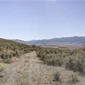 PENDERGRAFT -HAZEL ( PROPERTY )