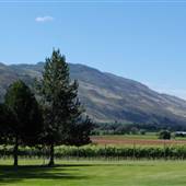 Privato Vineyard & Winery and Woodward Cider Co.