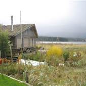 McCallister Residence
