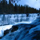Dawson Falls