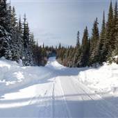 McGillivray Fire Service Road WINTER