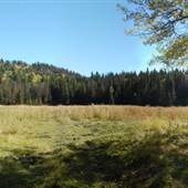 Chartrand Loop Field 2