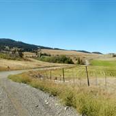 Douglas Lake Road ALL ROAD PAVED 2018 SUMMER