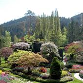 Butchart Gardens