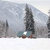 Roderick Haig-Brown Park Winter