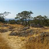 Summit Park
