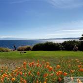 Saxe Point Park