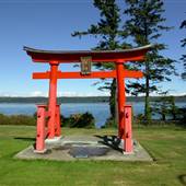 Torii Gate