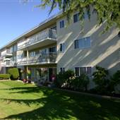 Dogwood Apartments
