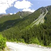 Schoen Mountain Rock Slide