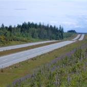 Highway 19 Jubilee to Willis Rd. Northbound