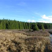 Lawier Lake