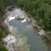 Nimpkish River Falls