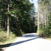 Franklin River Road