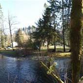 Quinsam River