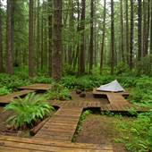 Eric Lake Campsite