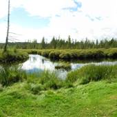 Marshwood Estate Winery (Marshwood Estate Marsh)