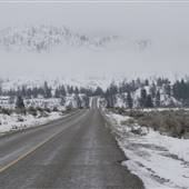 CAMP MCKINNEY RD ( Winter )