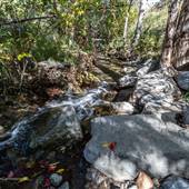 Peterson Creek Nature Park - Creek - Fall Colours