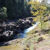 *Nanaimo River (Gunbarrel)