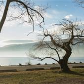 KNOX MTN FRISBEE PARK