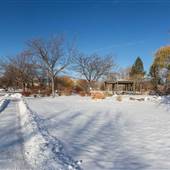 McArthur Island Park December WINTER