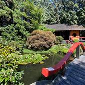 Park and Tilford Gardens